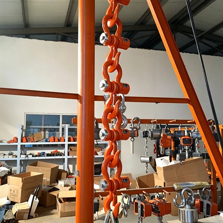 Heat Resistant Crane Scale factory