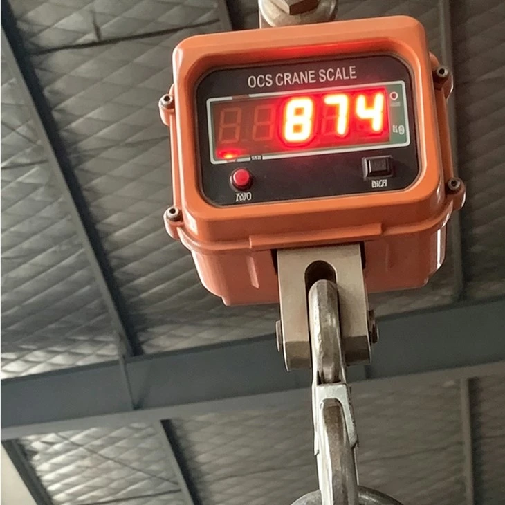 Overhead Crane Weight Scale suppliers