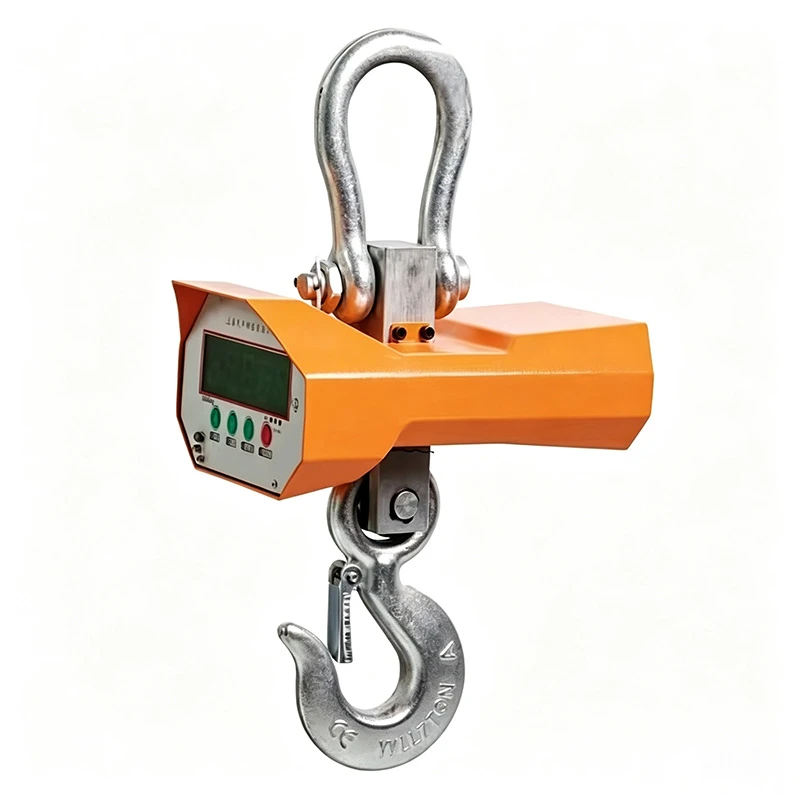 Overhead Crane Scale