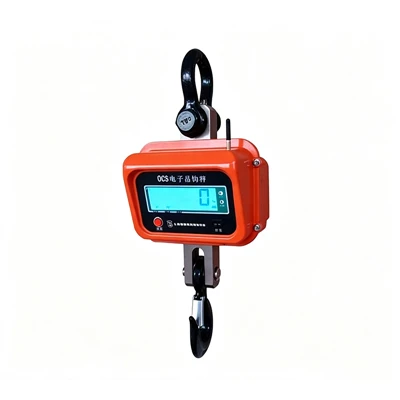 Direct View Electronic Crane Scale