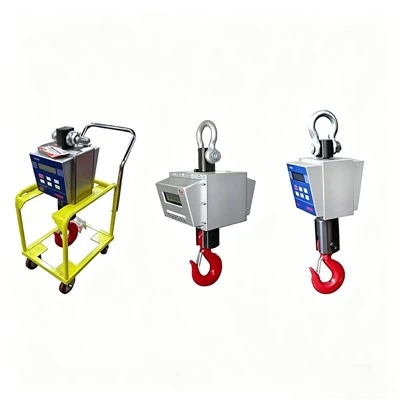 Industrial Wired Hook Scale