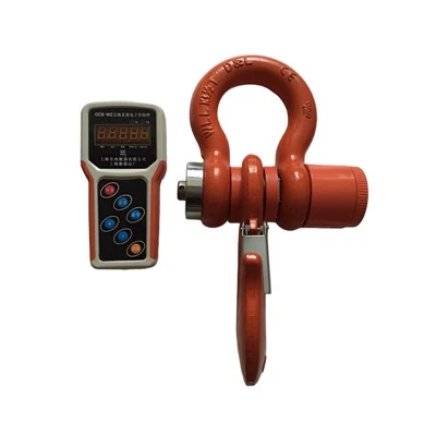 Overhead Crane Weight Scale