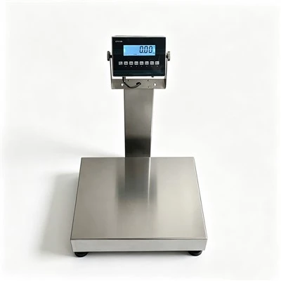 SS Platform Scale